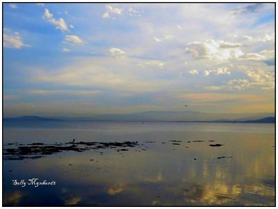 Reflections on lovely Lake Illawarra.
Hal and i spent a few hours here,watching the sun go down.