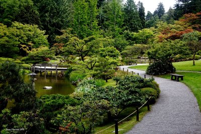 6-14-2018 Japanese Garden Arboretum - Seattle