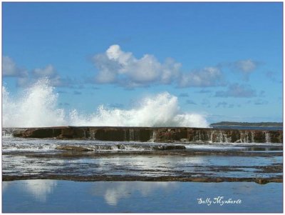 A spring walk at Barrack Point.
