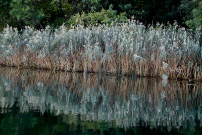 Krka National Park