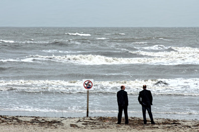 SUITS ON THE BEACH