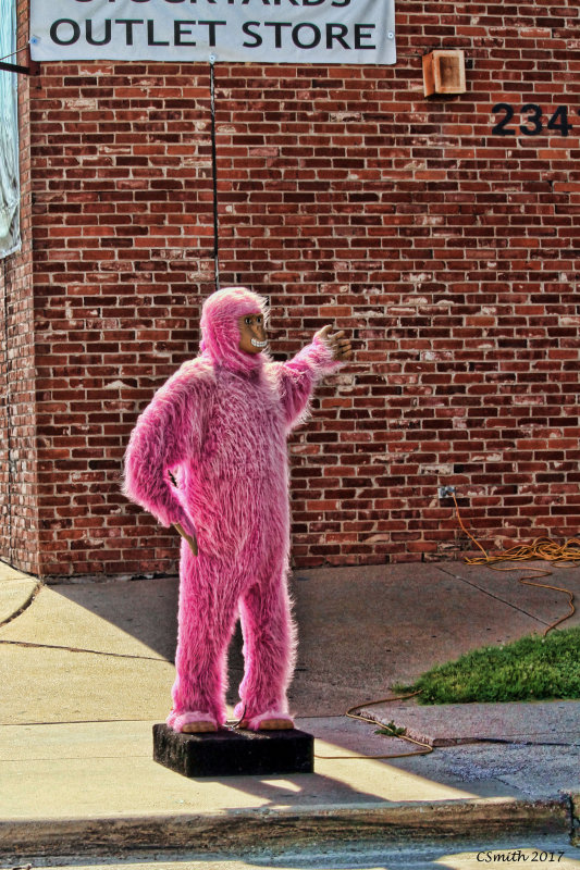 PINK MONKEY MAN
