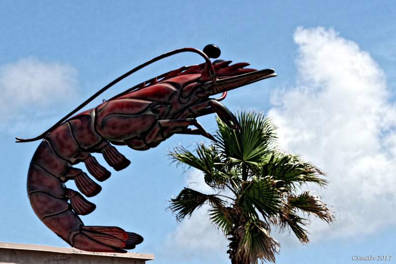 GIANT SHRIMP ATTACKS PALM TREE....NEWS AT 10:00