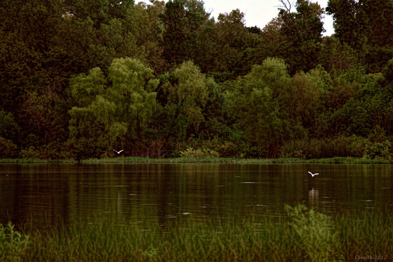 EVENING AT THE LAKE