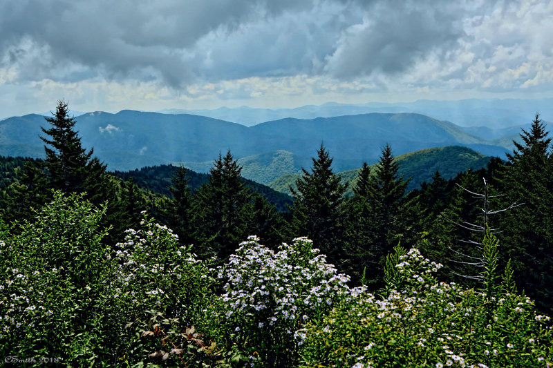 THE VIEW FROM THE BLUE RIDGE PARKWAY