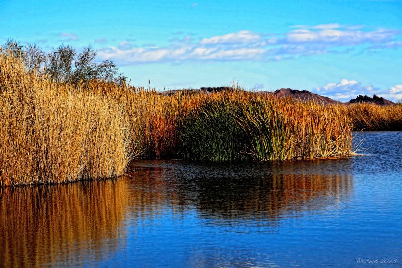 Las Vegas Wetlands