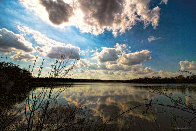 LATE AFTERNOON AT THE NATURE PRESERVE