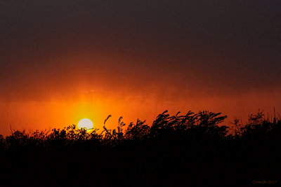 FRIDAY SUNSET