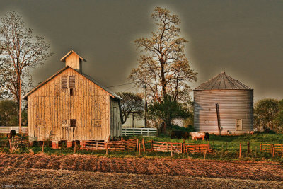 ILLINOIS BARN, SILOW AND COWS