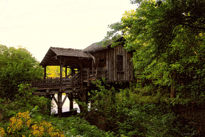 THE OLD SAW MILL