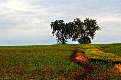 ILLINOIS FARM LAND