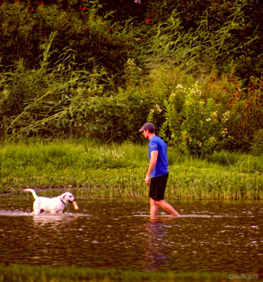 A MAN AND HIS DOG