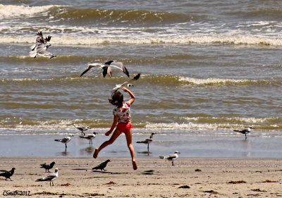 JUMPING TO PET A GULL