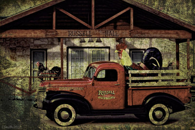 HAVE ROOSTER WILL TRAVEL