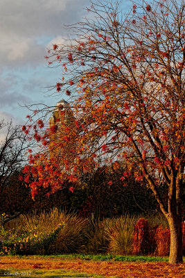 AUTUMN
