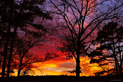  CHRISTMAS SUNSET