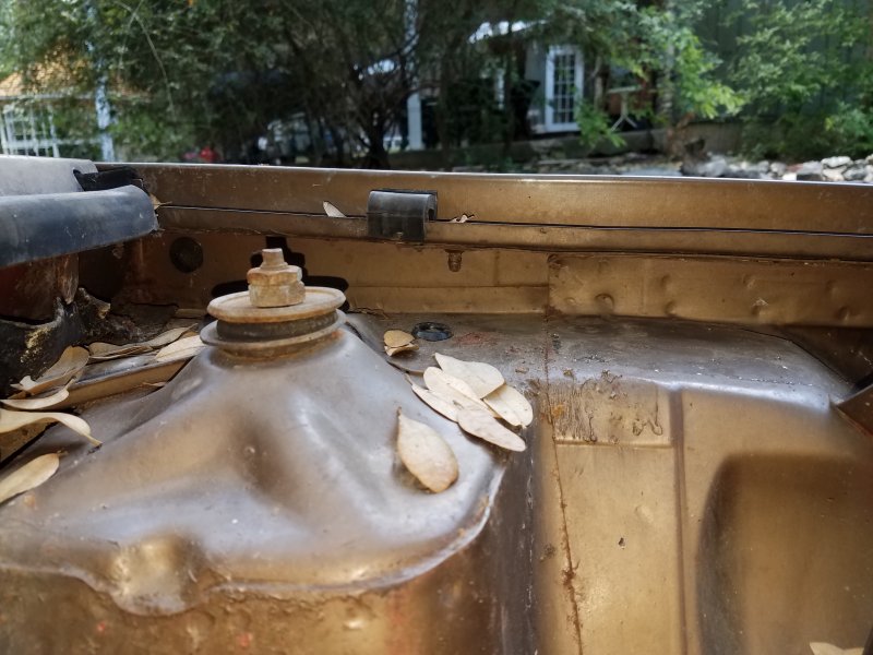 20170615_131505.jpg