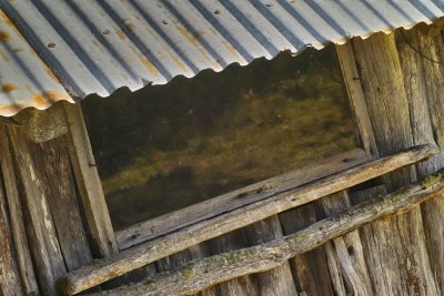 Test of Time - Wallace Hut