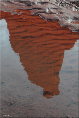 Fin Puddle Reflection, Canyonlands National Park