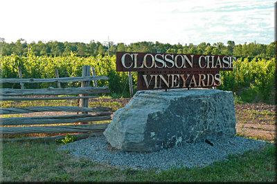 Closson Chase Vineyard