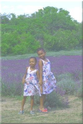 Two Girls In Foggy Lavender Field