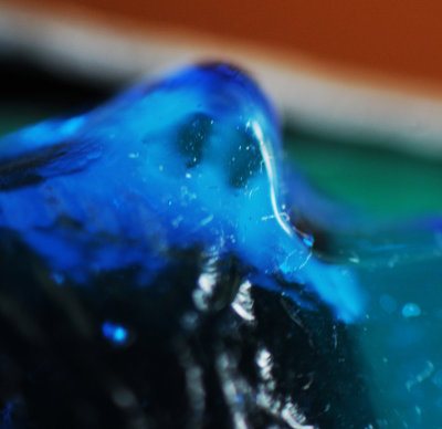 Glass Snout Macro