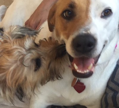 Gracie & Rosie