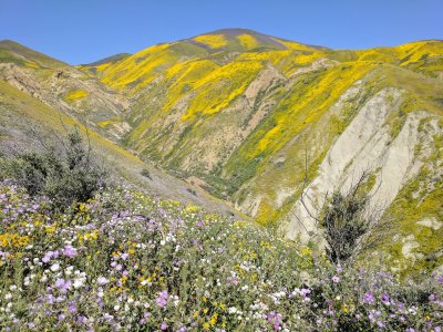 Temblor Range 1.jpg