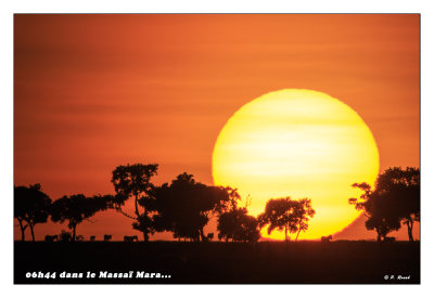 06h44 dans le Maasai Mara - 49-2