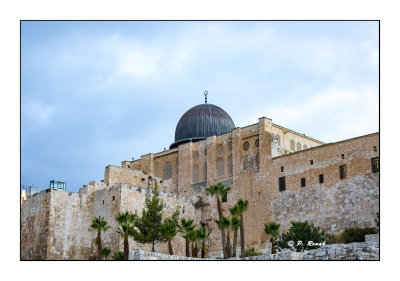 Mosques - Jrusalem - 8503