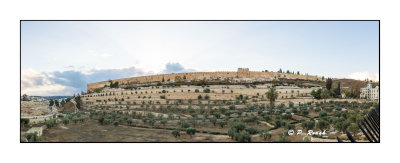 Muraille - Jerusalem - 8406