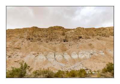 The Dead Sea - Grottes des manuscrits de la Mer Morte - 8343
