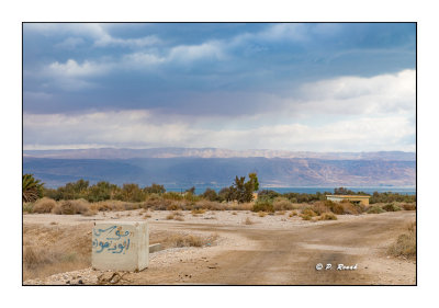 The Dead Sea - 8280