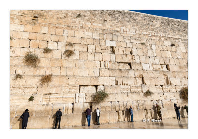 Western Wall - Jerusalem - Nov2017 - 8166