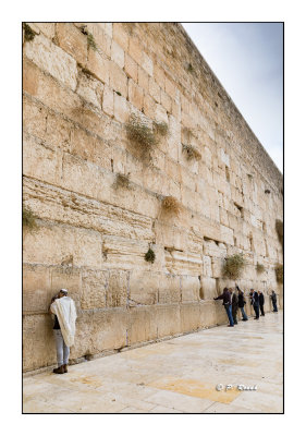 Western Wall - Jerusalem - Nov2017 - 8170