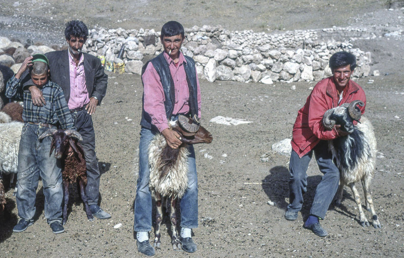 Dogubeyazit 256.jpg