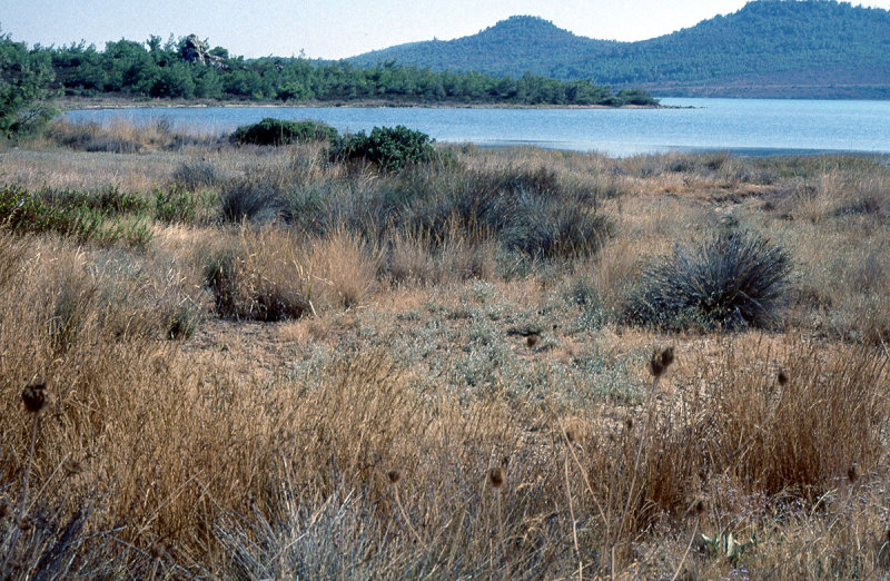 Ayvalik   048.jpg
