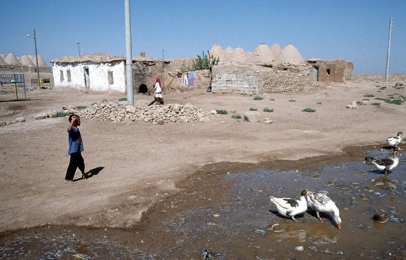 Urfa 1997 Desert tour Harran 195.jpg