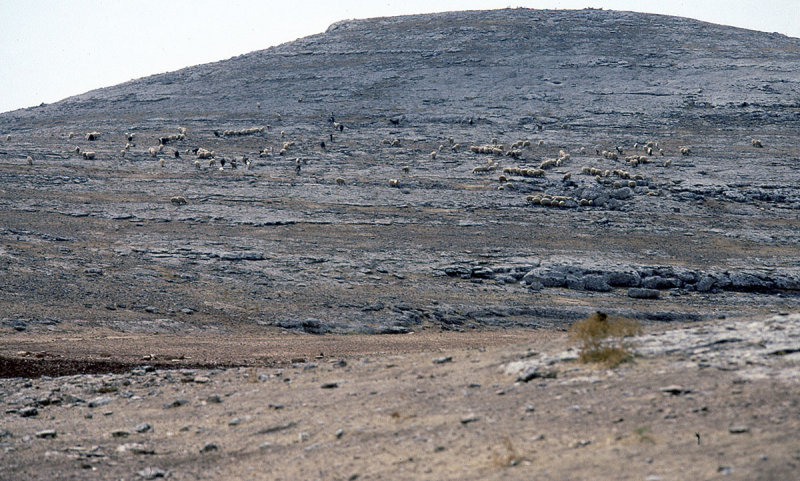 Urfa 1997 Desert tour 124.jpg