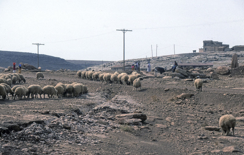 Urfa 1997 Desert tour 132.jpg