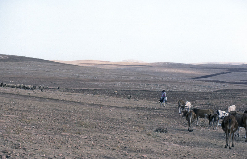 Urfa 1997 Desert tour 118.jpg