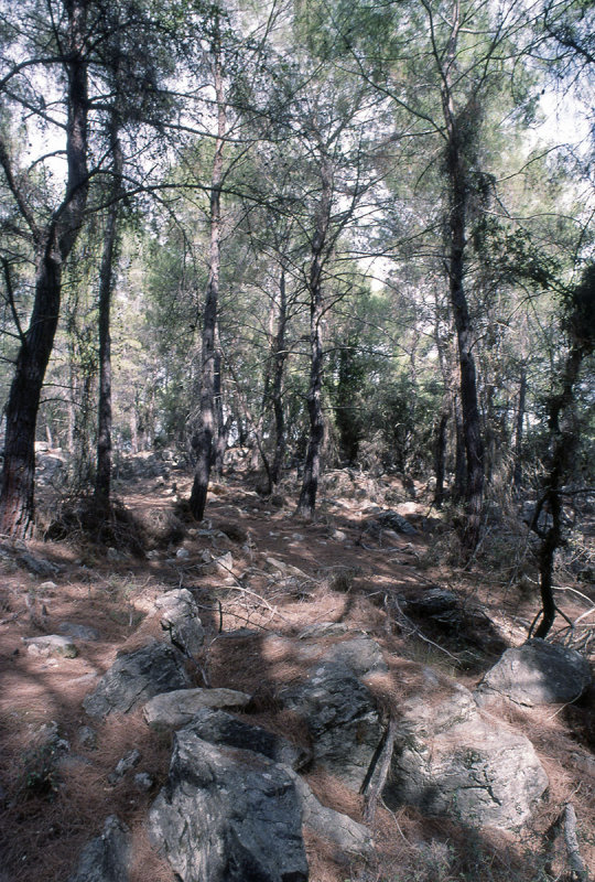 Dalyan Uphill 98 050.jpg