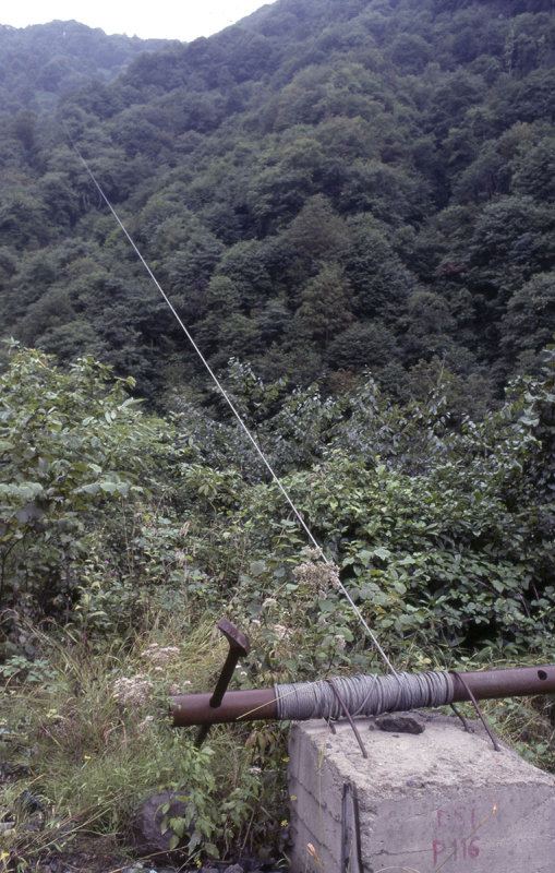 Rize Tea country 2002 148.jpg