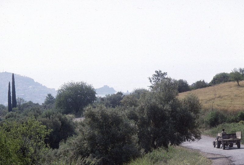 Selcuk 92 083.jpg