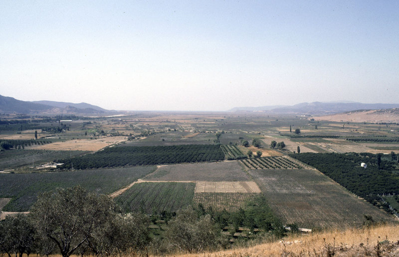 Selcuk 92 016.jpg