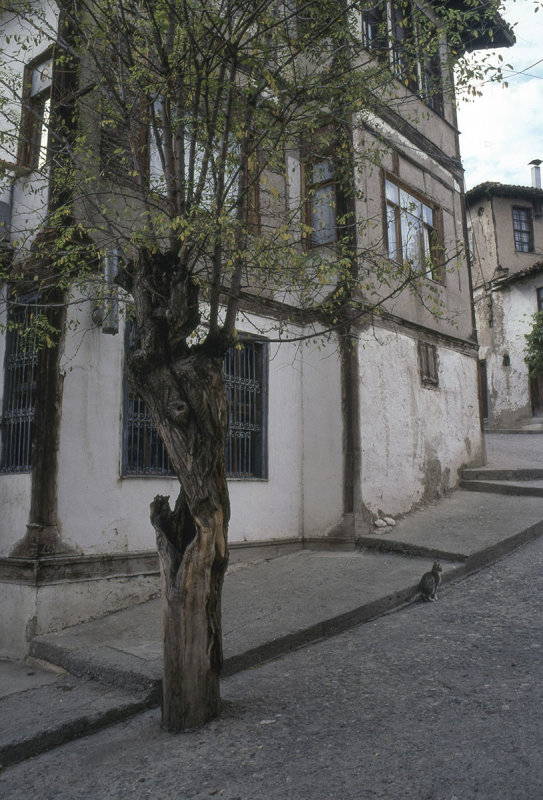 Zile  024.jpg