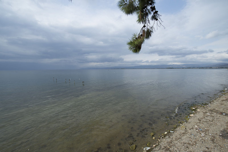 Iznik Lake october 2018 8049.jpg