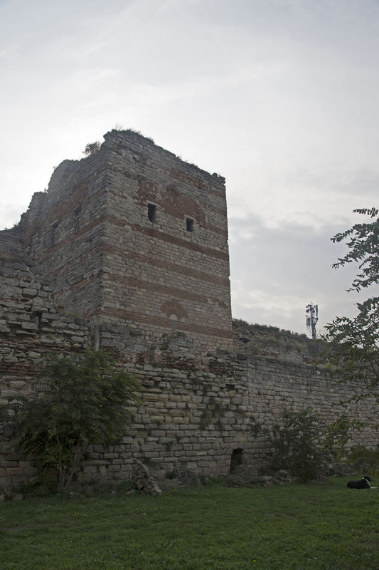 Istanbul Wall south of Topkapi Gate october 2018 9162.jpg