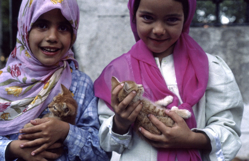 Istanbul Cats  029.jpg