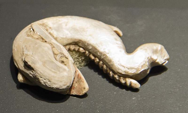 Troy Museum 2018 9988.jpg